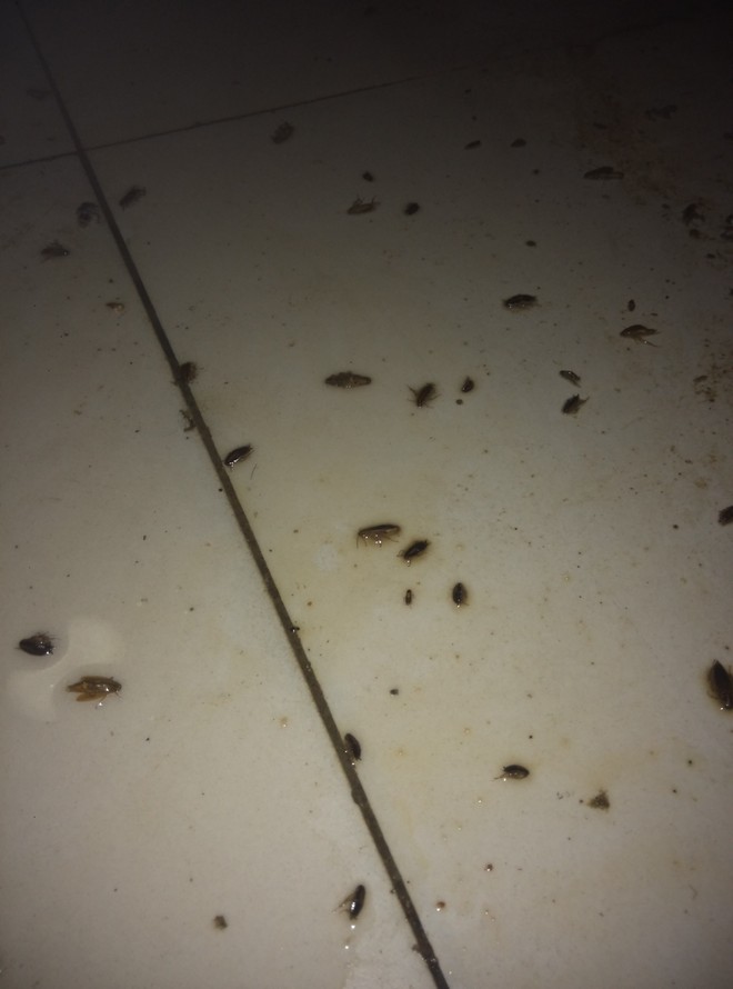 1441873994825416.jpg IMG_20150729_231809.jpg