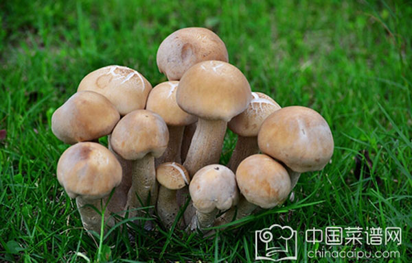 a475eac5d254687953b30aca5910cd5a.jpg