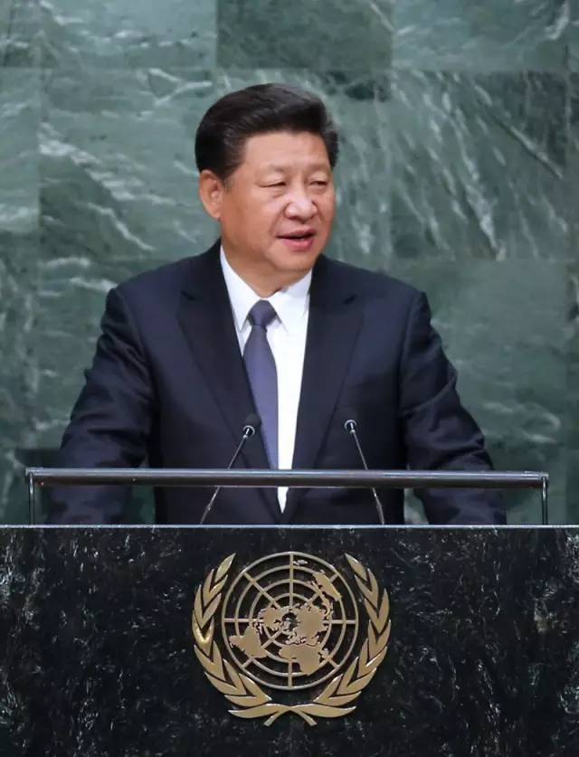 f3b5d5e0fe3542e.jpg