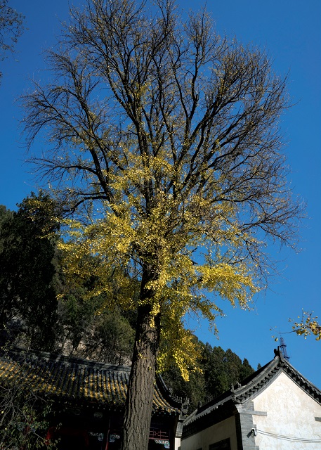 20150128034616132.jpg